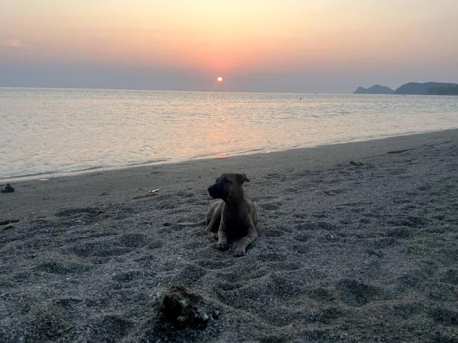 Sunset Serenity Cove Koh Phangan Exteriör bild